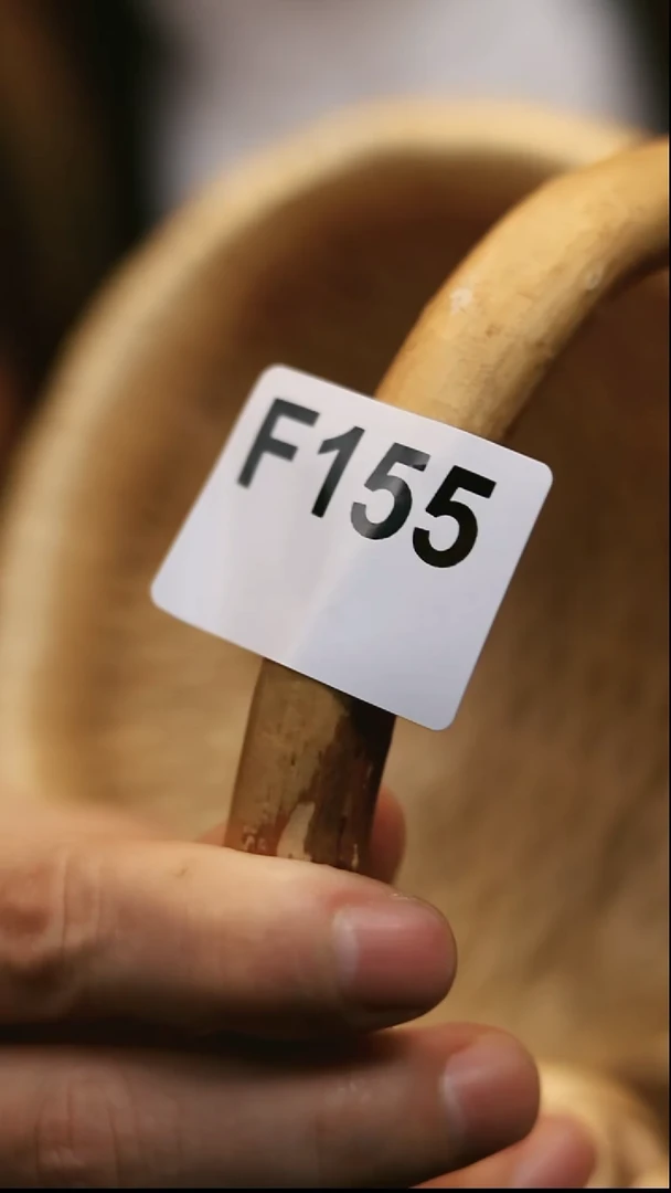 闪购商品-编码-F155