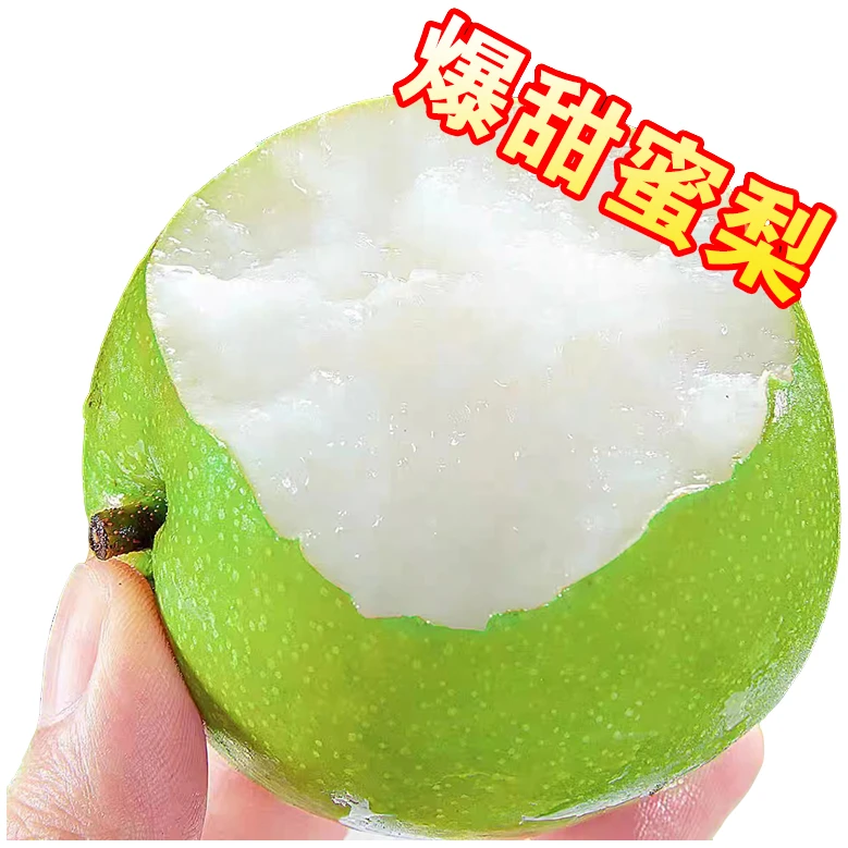 【顺丰包邮】正宗砀山青皮皇冠梨新鲜水果脆甜多汁薄皮现摘应季水果