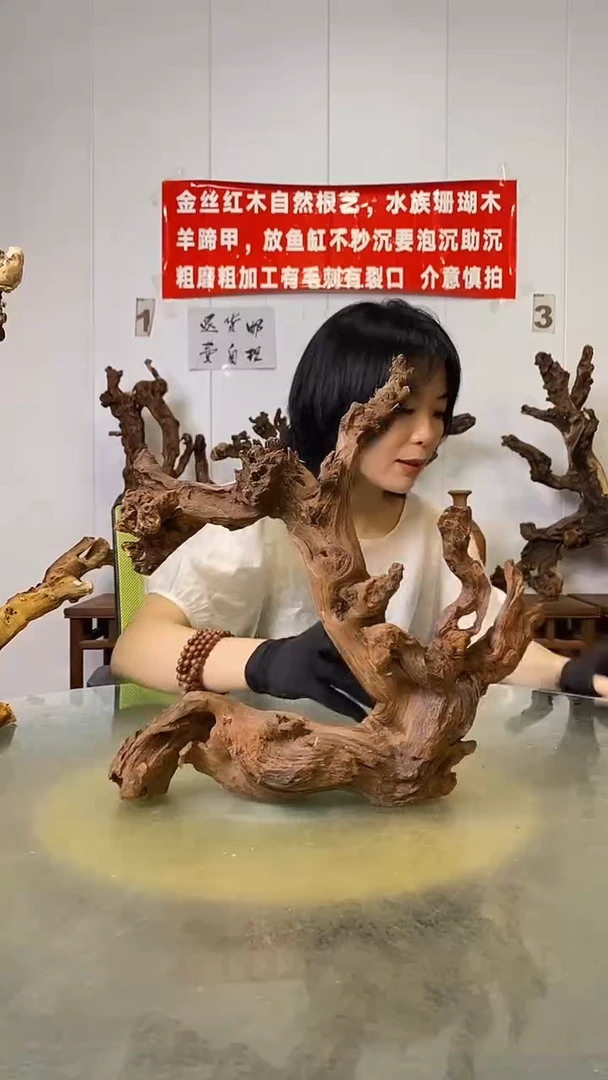 香榧木名****）金丝红木   羊蹄甲