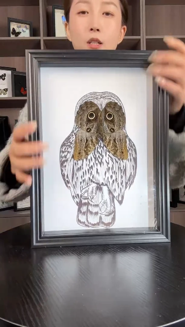 实木竖款猫头鹰环蝶（蝴蝶装饰画A4框）