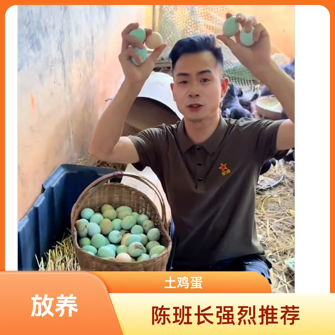陈班长家散养土鸡蛋【顺丰包邮】