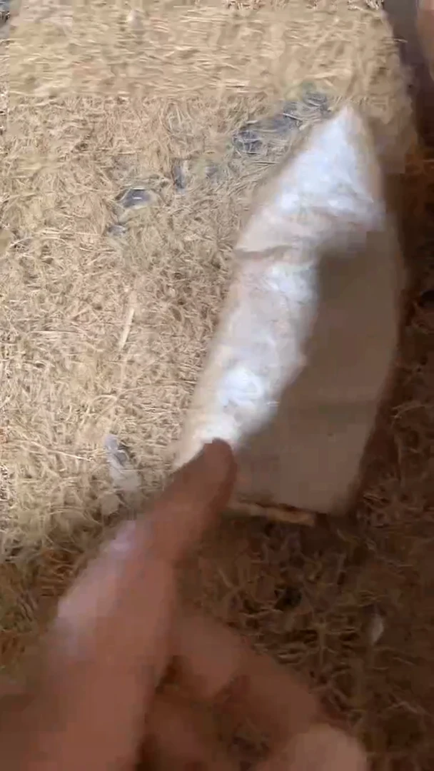 木闪购链接木（佳佳甄选）