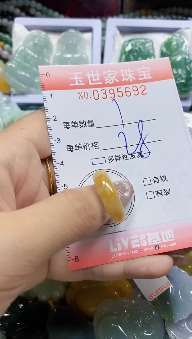 颈饰未镶嵌翡翠闪购0395692