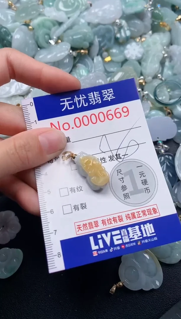 吊坠(不含链)未镶嵌翡翠669