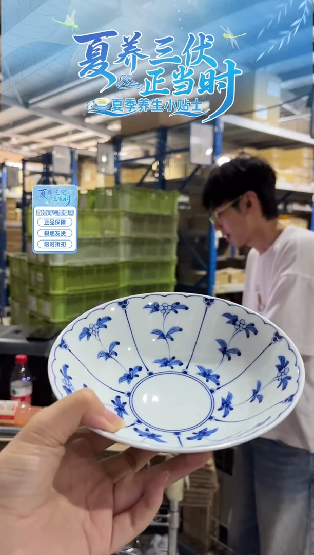瓷(B)割草花　六寸平鉢(B)割草花　六寸平鉢