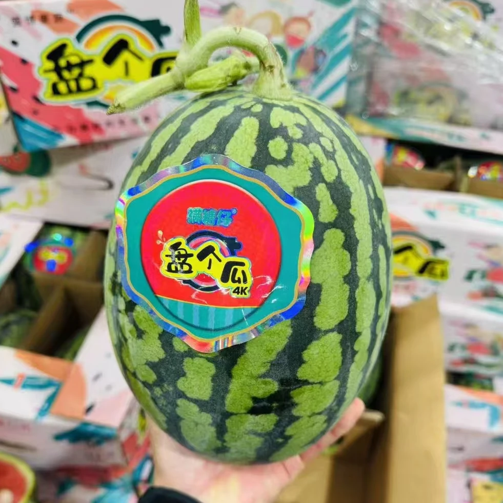 【5-7斤--7-9斤左右】盘个瓜甘美4k西瓜山东省