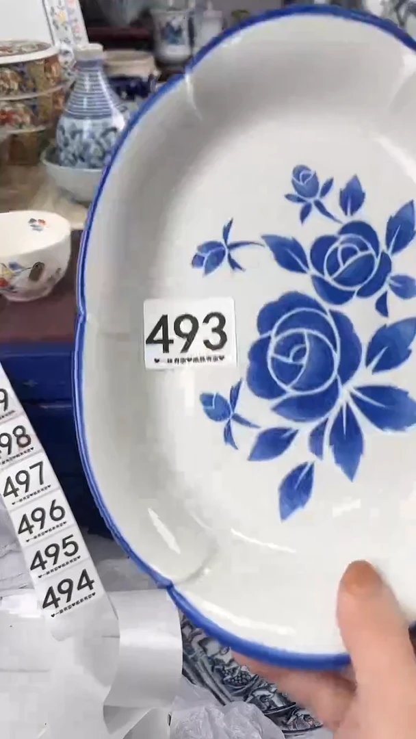 南*493