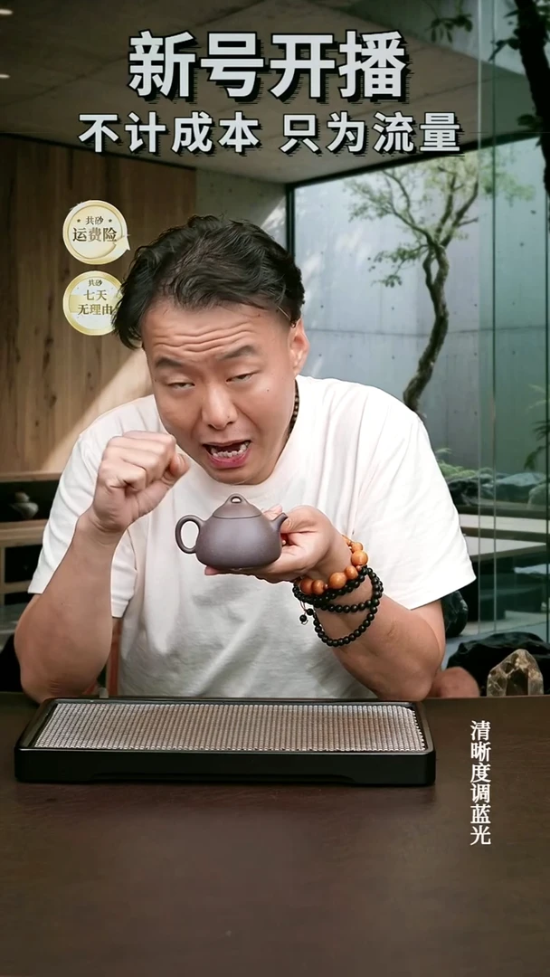 茶壶紫砂宜兴原矿 天青 半手工 冬心1