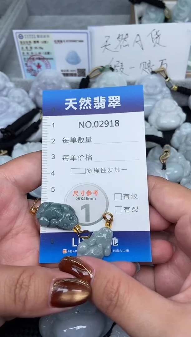颈饰未镶嵌翡翠纯天然A货翡翠2918