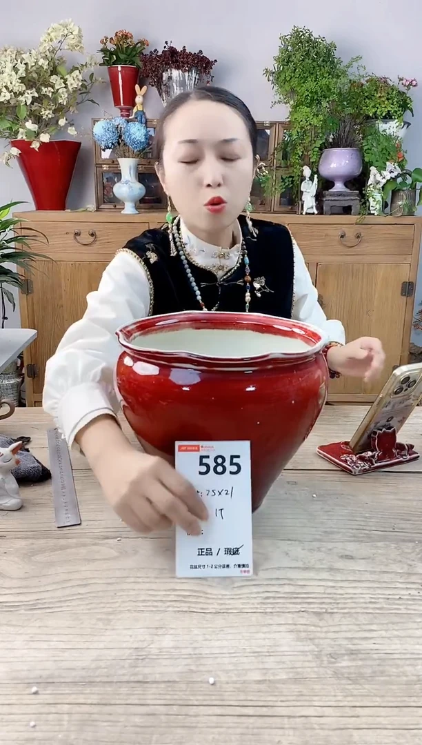 小玩子花盆直播号585