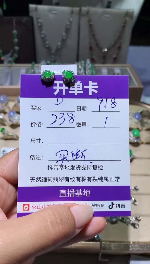 未镶嵌翡翠耳饰DD