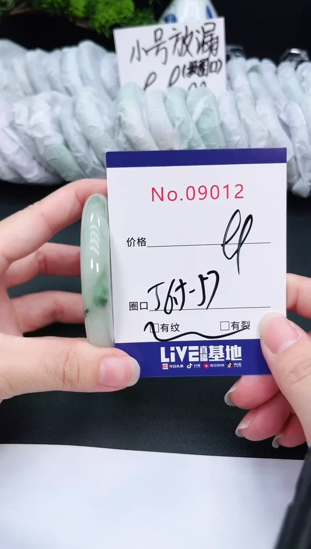 未镶嵌手镯翡翠9012