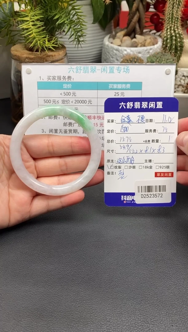 未镶嵌手镯翡翠不****谢D2523572
