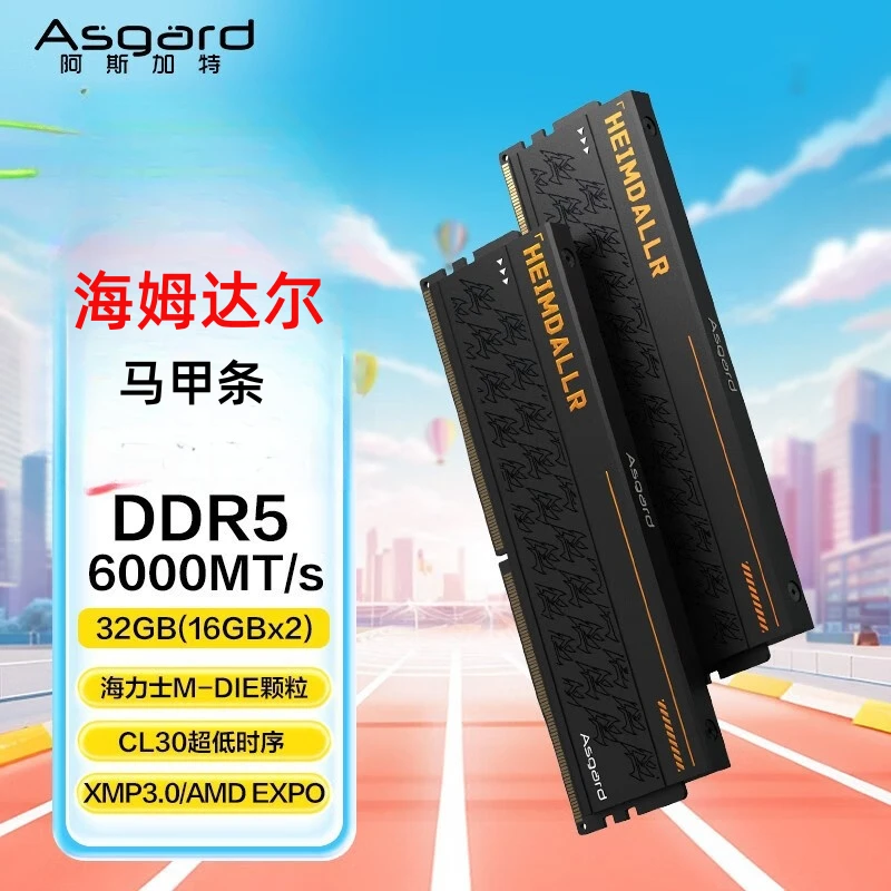 阿斯加特32GB(16GBx2) D5 6000 内存条海姆达尔海力士M-die CL30
