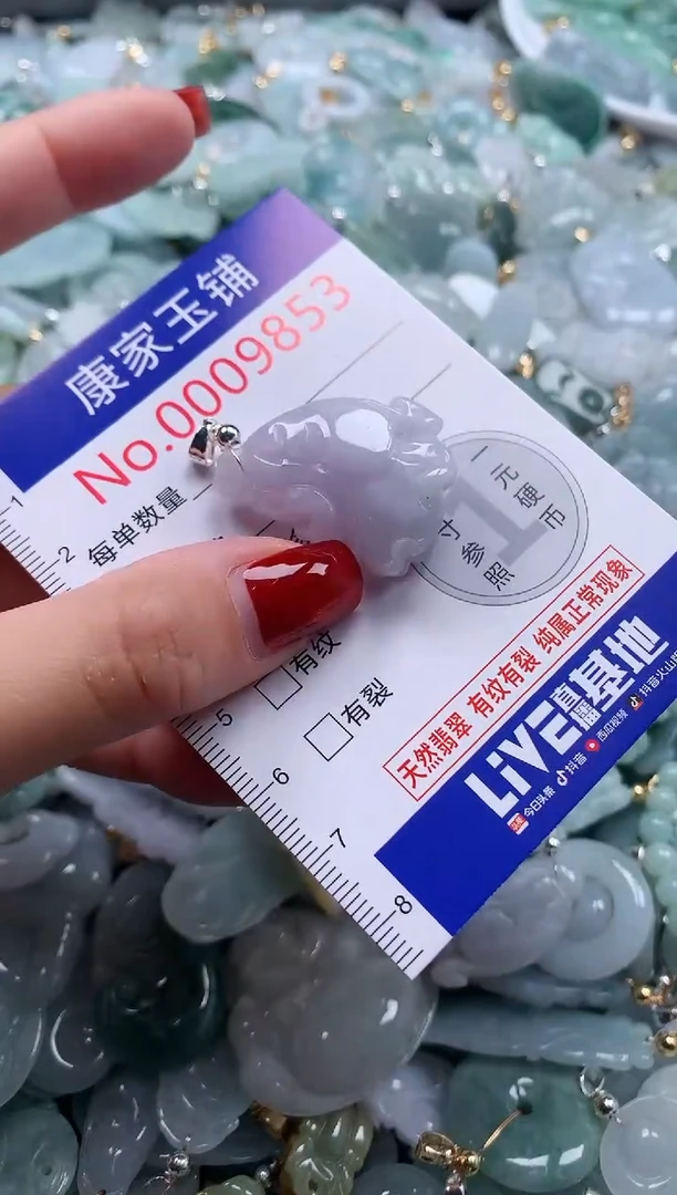 翡翠未镶嵌吊坠(不含链)9853