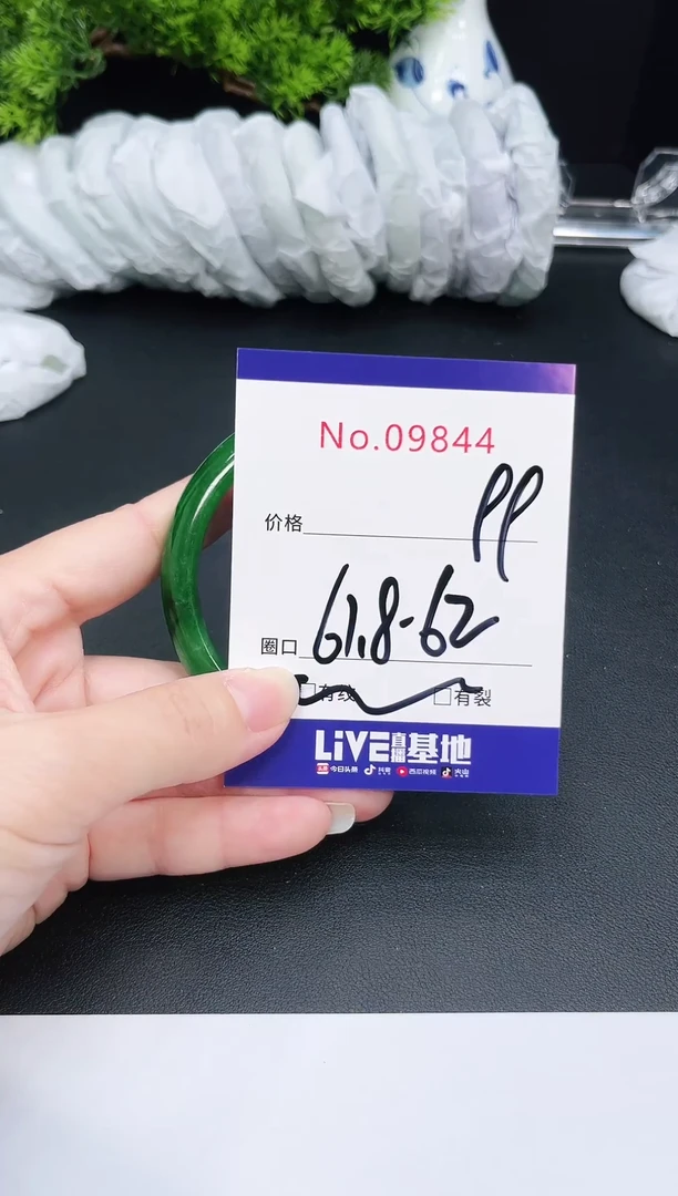 未镶嵌手镯翡翠9844