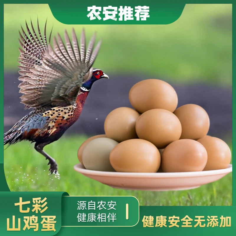 【衡水农安推荐】自营农场散养七彩山土鸡蛋鸡蛋新鲜标准化纯五谷