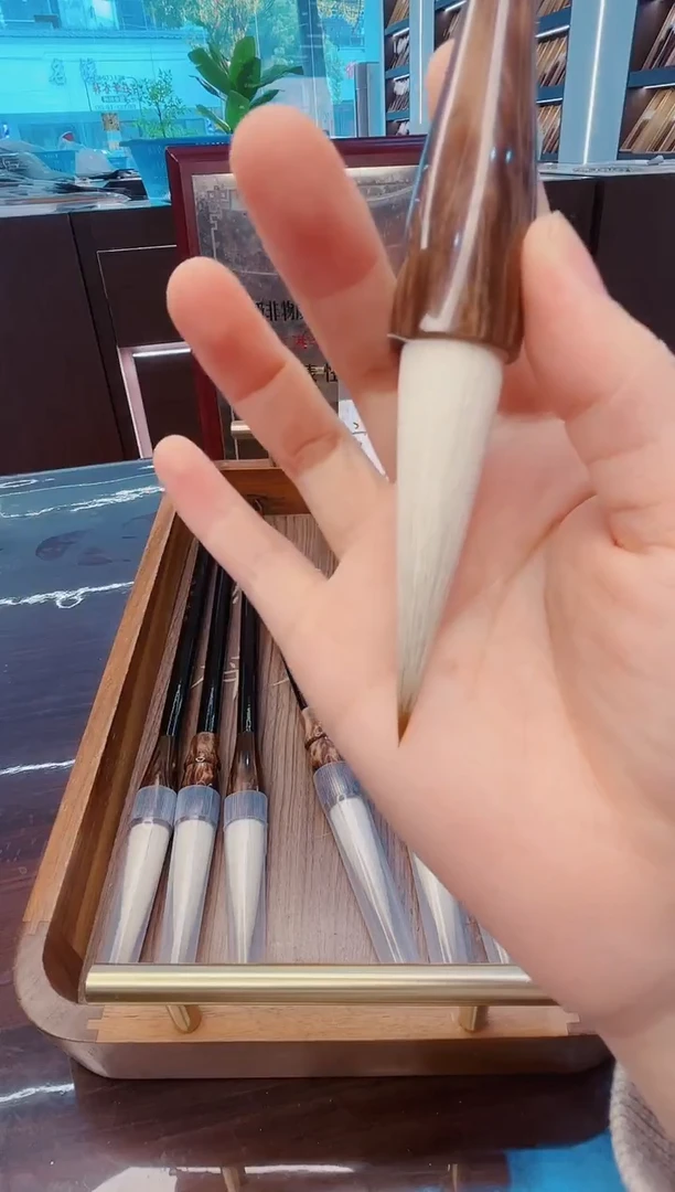 超级福利，傲世风华10支