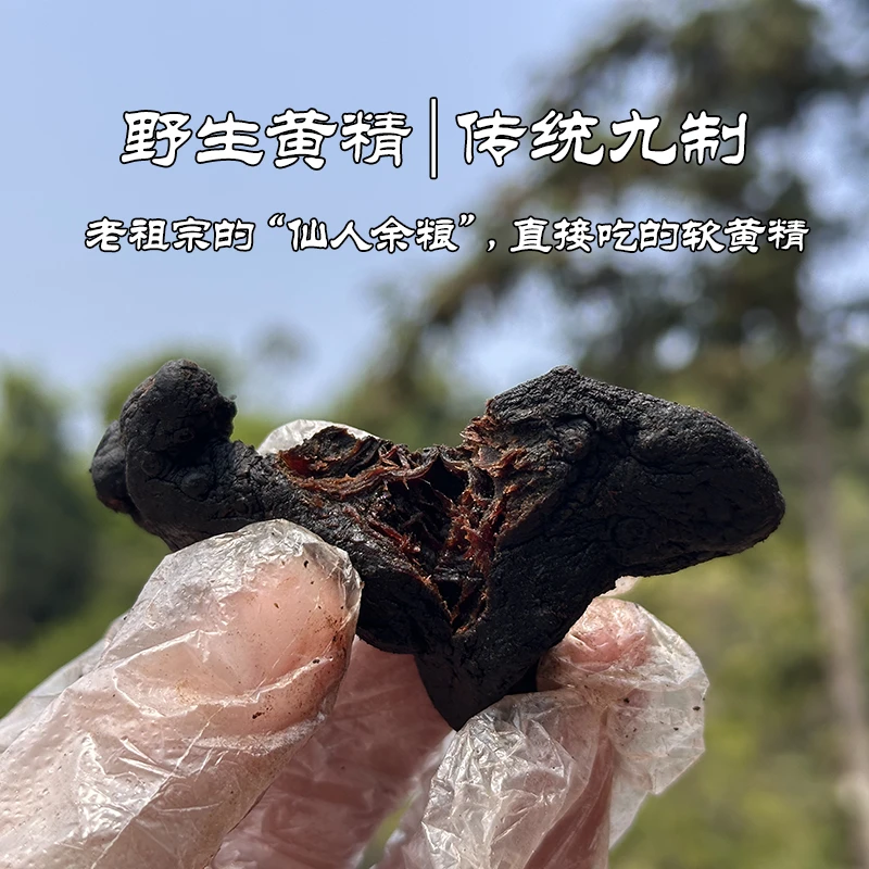 【软黄精】粤北山区山货 九蒸九晒仙人余粮 8-10年黄精农产品