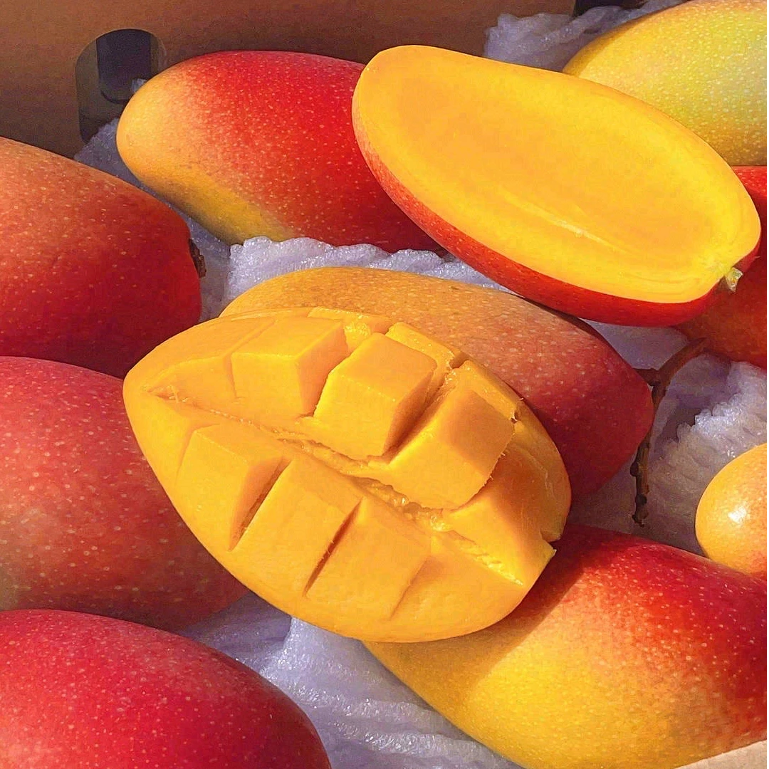 果切贵妃芒礼盒装 15元/件(约3斤）