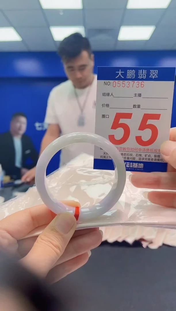 未镶嵌手镯翡翠AAAAAAAAA