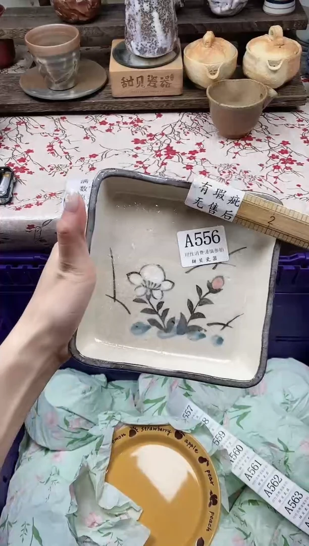 瓷片鱼                A556