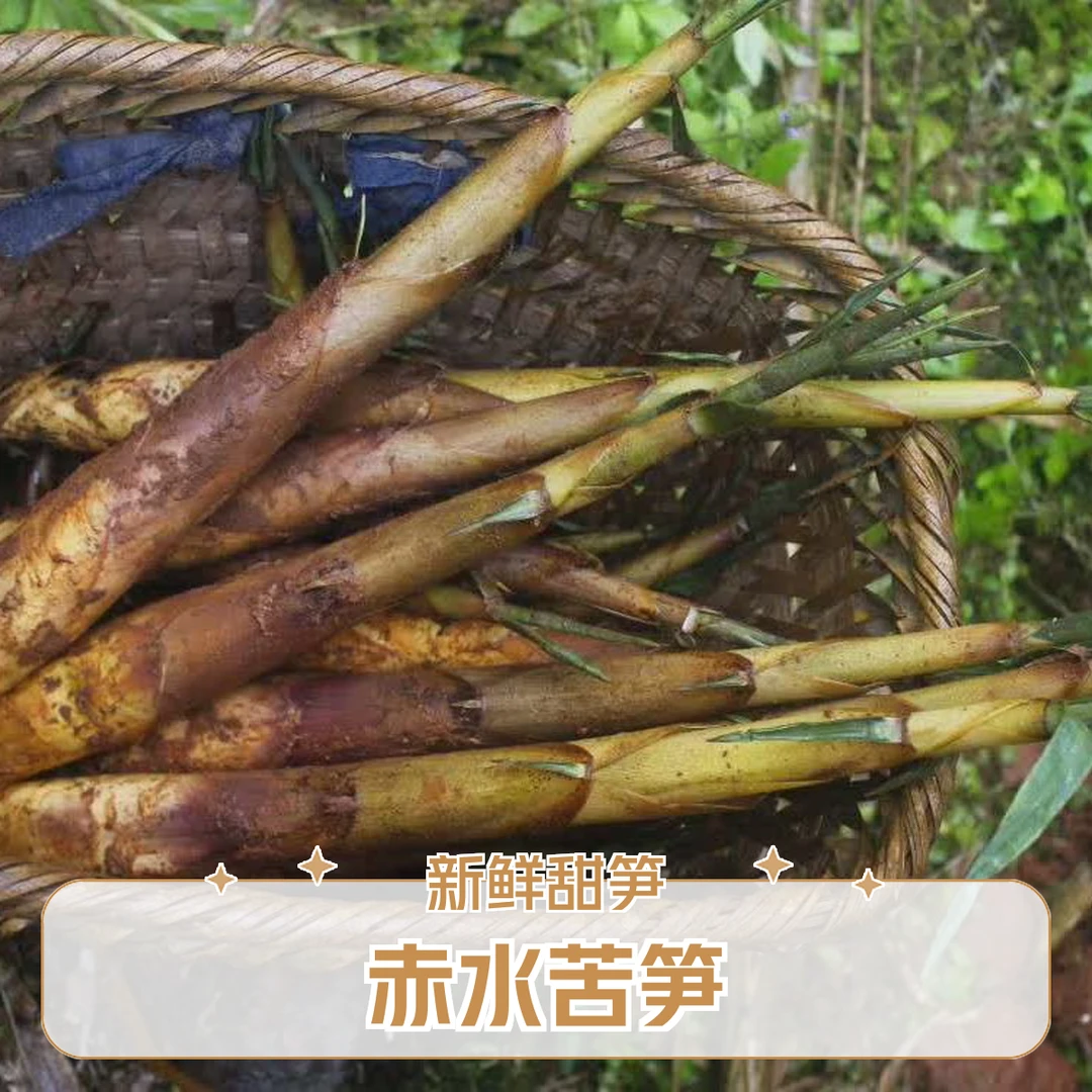 贵州赤水苦笋带壳新鲜甜竹笋高山小竹笋春笋现挖农家特产顺丰包邮