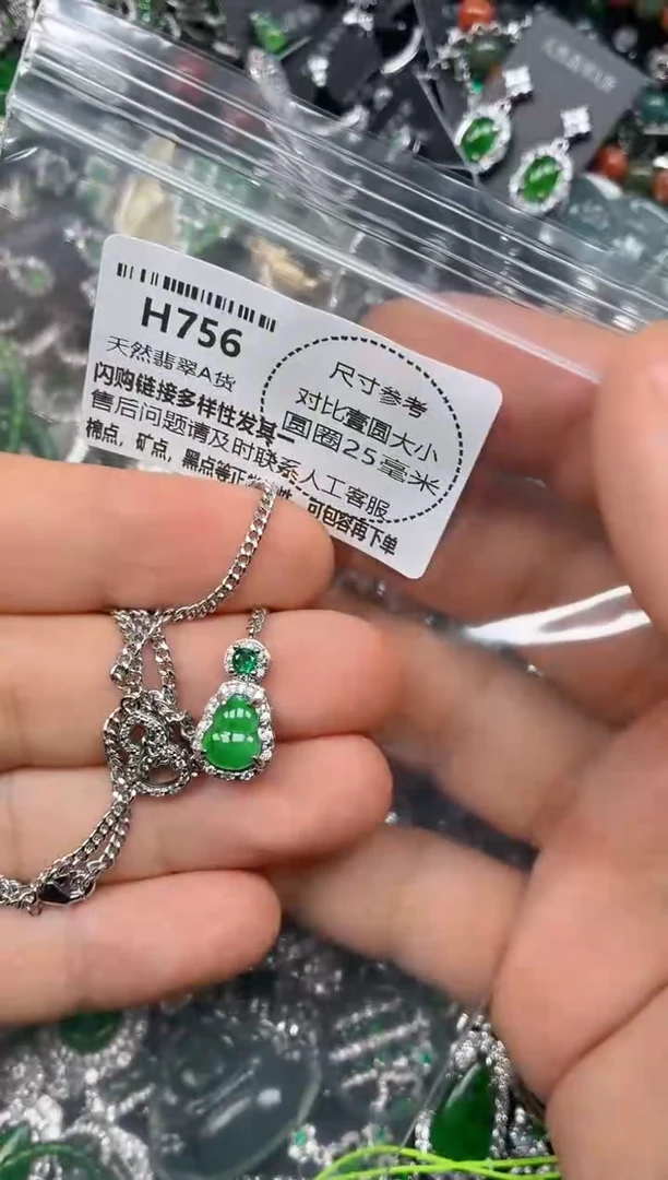 颈饰未镶嵌翡翠H756项链