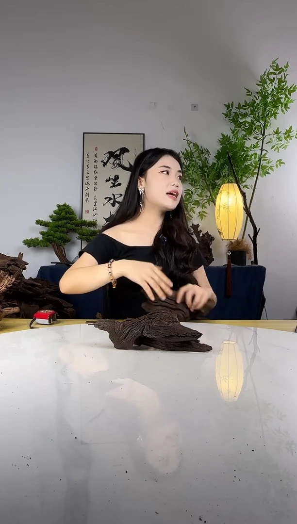 理***念拍这个定向编号74