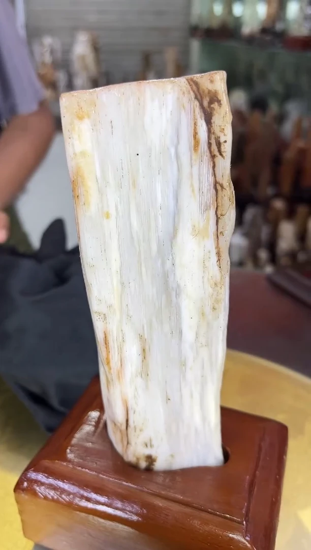 硅化玉珠宝奇石未镶嵌缅甸天然树化玉