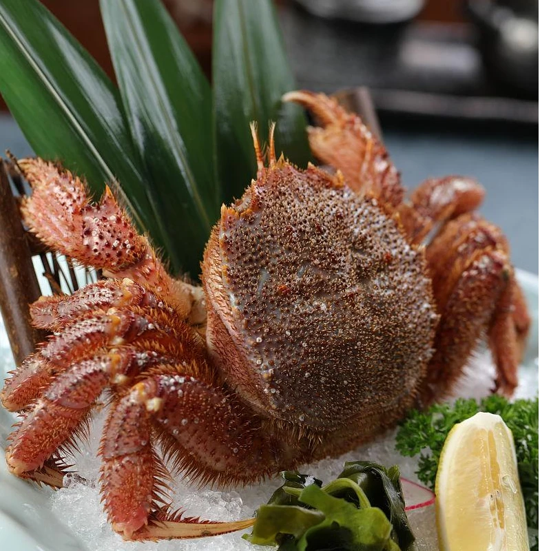 俄罗斯进口红毛蟹