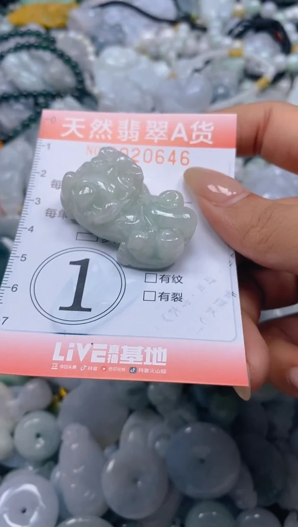 翡翠未镶嵌颈饰闪购0020646
