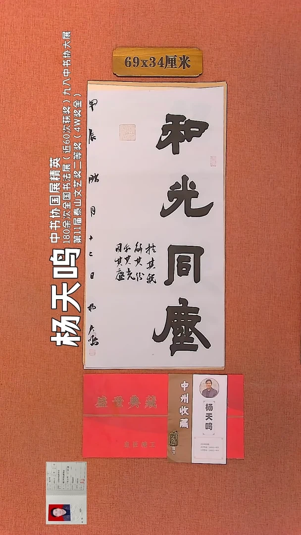 【闪购商品】书法87        杨天鸣书法作品