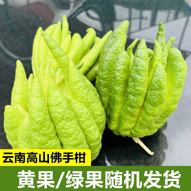 JX 【云南佛手柑】花鲜花清供闻香客厅微瑕随机发货果青黄果花材