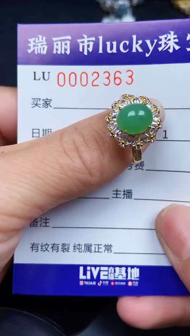 翡翠银S925镶嵌颈饰2363