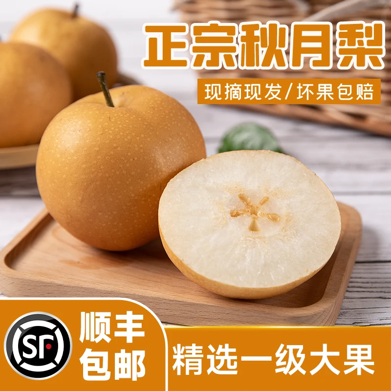山东正宗莱阳秋月梨新鲜应季水果脆甜多汁
