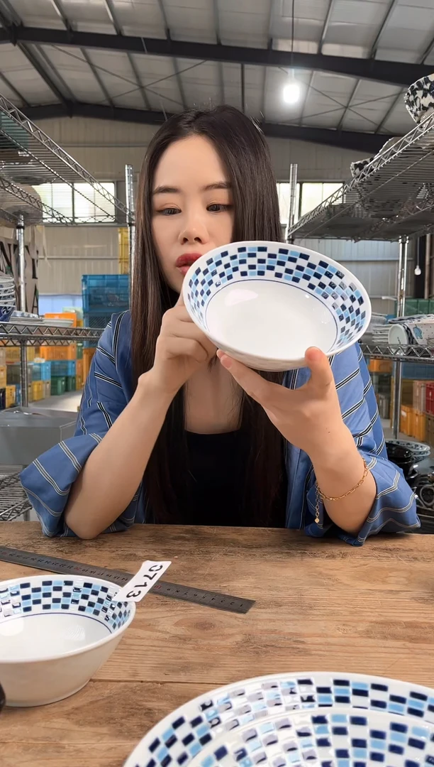 瓷片           713号17*5