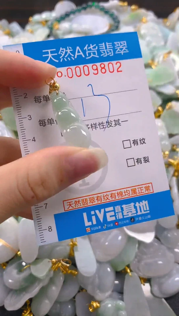 颈饰未镶嵌翡翠净货挂件-9802