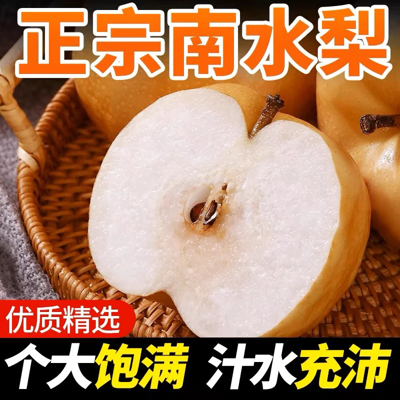 A3正宗山东莱阳南水梨新鲜水果当季冰糖南水梨比秋月梨甜度更高