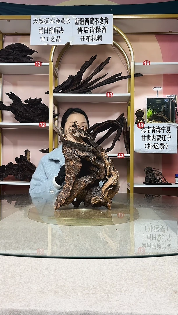 小*猴山丘沉木A121