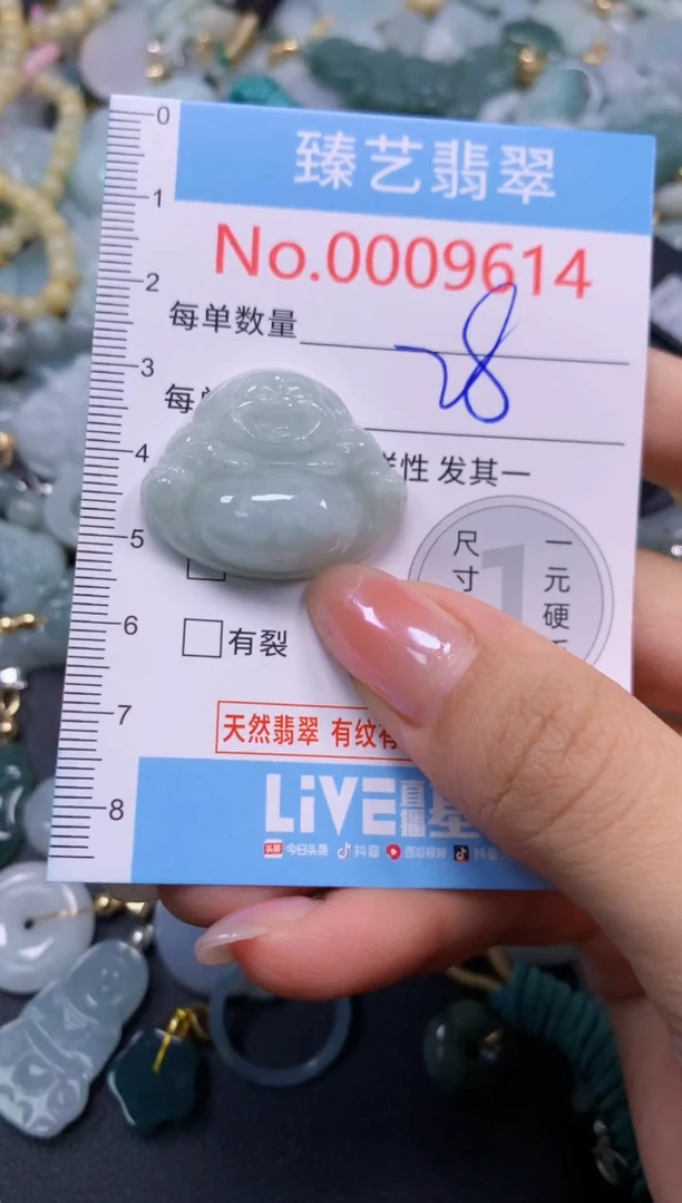 颈饰未镶嵌翡翠9614