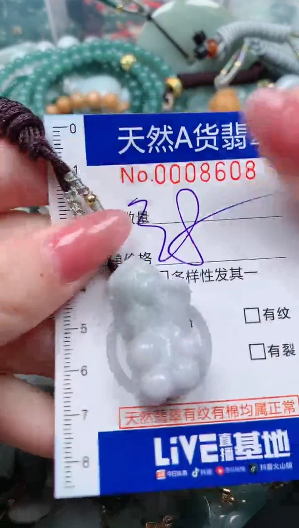 【闪购商品】翡翠颈饰未镶嵌00008608