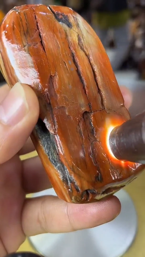 未镶嵌珠宝奇石硅化玉缅甸天然树化玉手把件