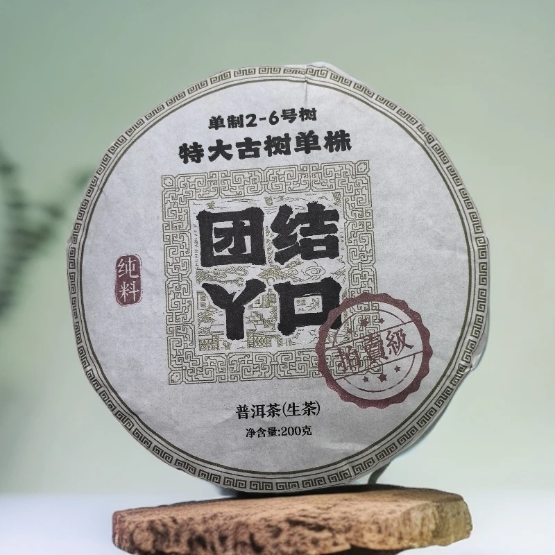 2023年团结丫口特大古树单株2-6号普洱生茶饼200克Y115号8月3日