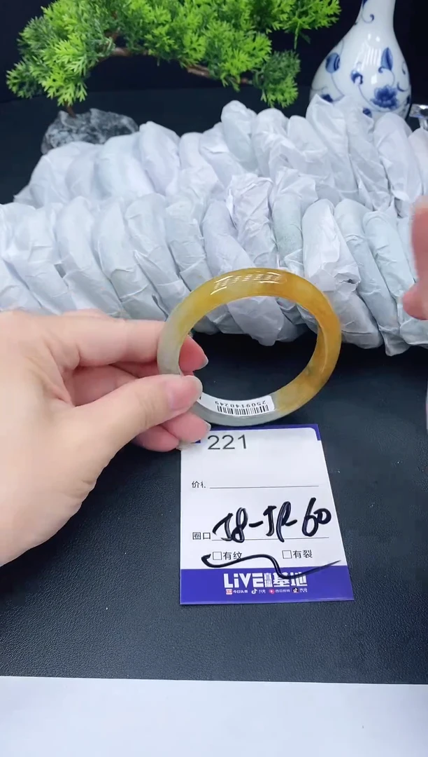 未镶嵌手镯翡翠221