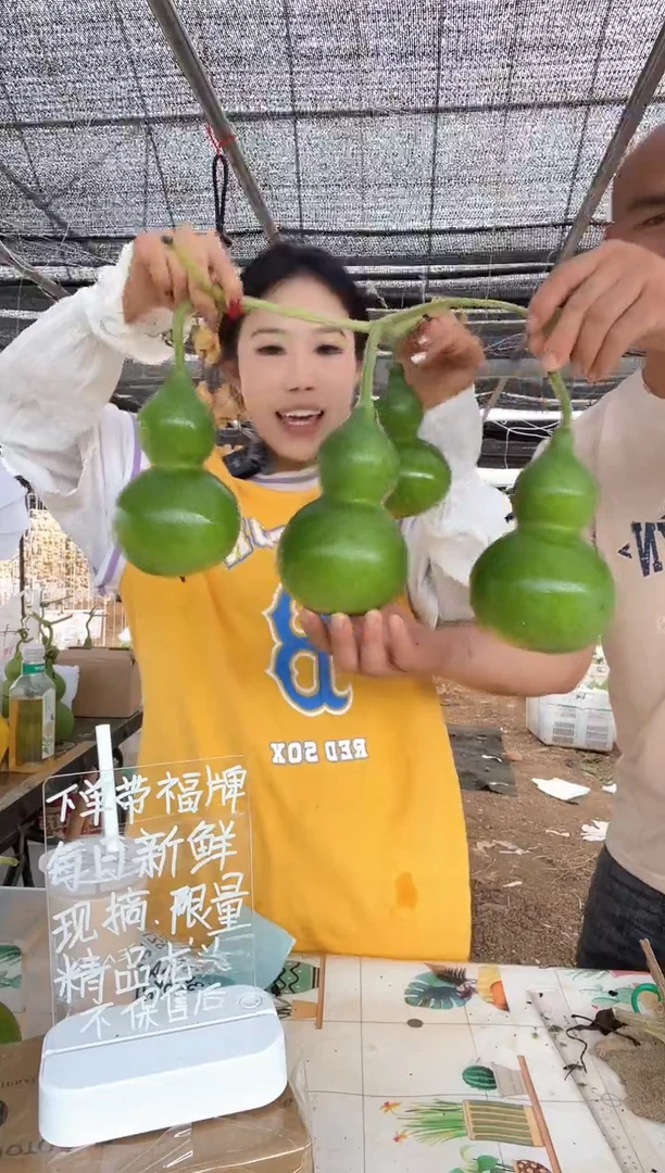 322天然葫芦摆件 一物一拍龙头不保售后