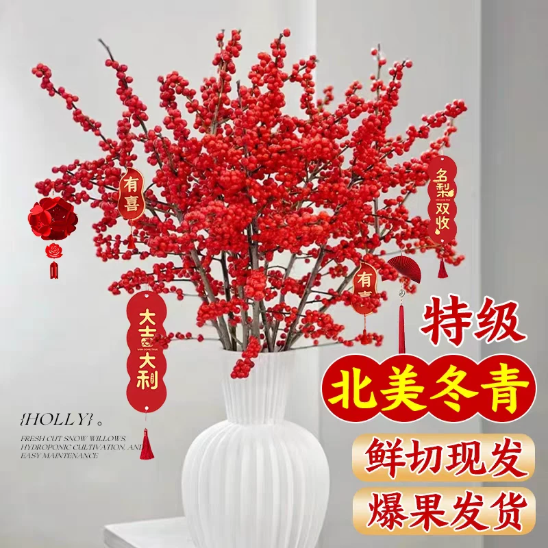 【福利款】50-60CM北美冬青红果鲜切花，室内水培年宵花高端喜庆