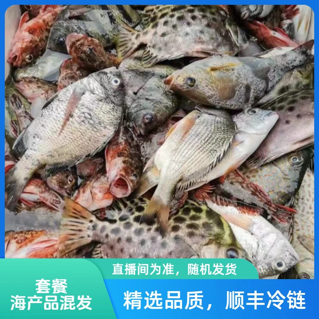 新鲜野生杂鱼组合套餐（10斤）海产组合套餐新鲜速冻顺丰冷链