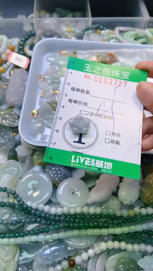 翡翠未镶嵌颈饰闪购0103727