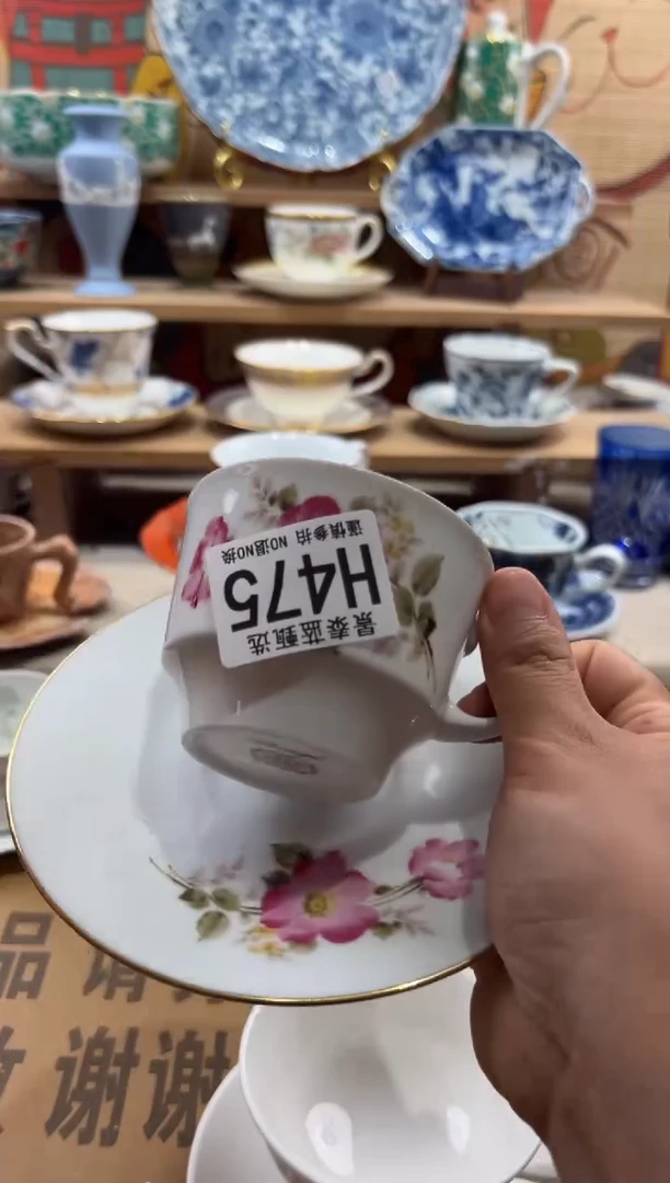 瓷片兰*瓷片20包邮---H475